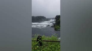 Barvi Dam water discharge, Thane heavy rainfall, Barvi river water level rise, Ulhas river flood alert, Thane district water management,