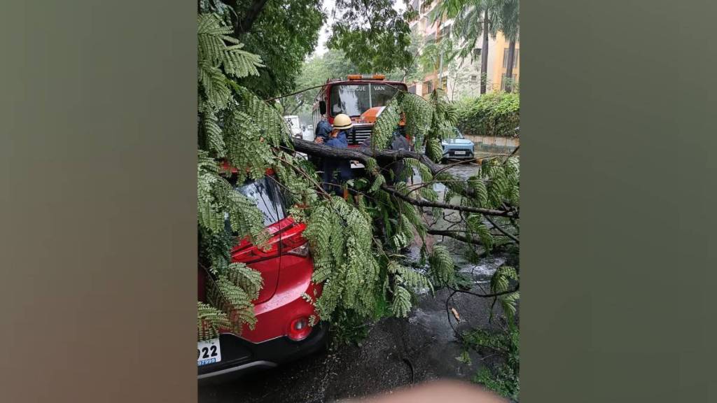 Navi Mumbai Covered in Heavy rains for more than 48 hours trees fell at 7 places 34 year old youth washed away