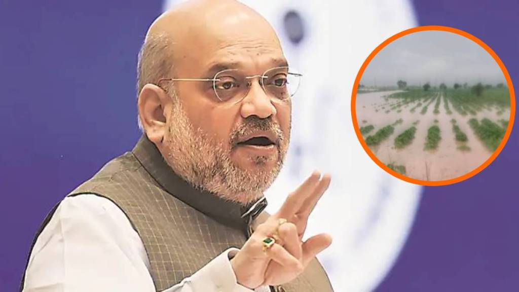 अतिवृष्टी बाधितांना तातडीच्या मदतीसाठी अमित शहांना साकडे, मतभेद विसरून कोणी घेतली भेट? (image credit - pti/loksatta team/loksatta graphics)