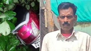 Bhandara storm accident, government employee death, stormy rain incidents, monsoon safety hazards, tree branch accident,