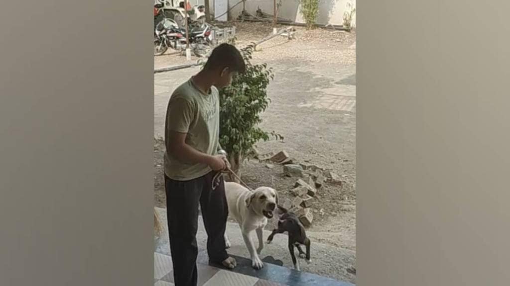 YCMOUs new dog eder Certificate' course on scientific dog rearing faces controversy