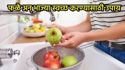 पावसाळ्यात फळे अन् भाज्या स्वच्छ करण्यासाठी नक्की फॉलो करा या टिप्स…