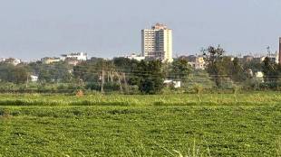 new Jalgaon is emerging in direction on lines of navi Mumbai