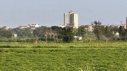 new Jalgaon is emerging in direction on lines of navi Mumbai