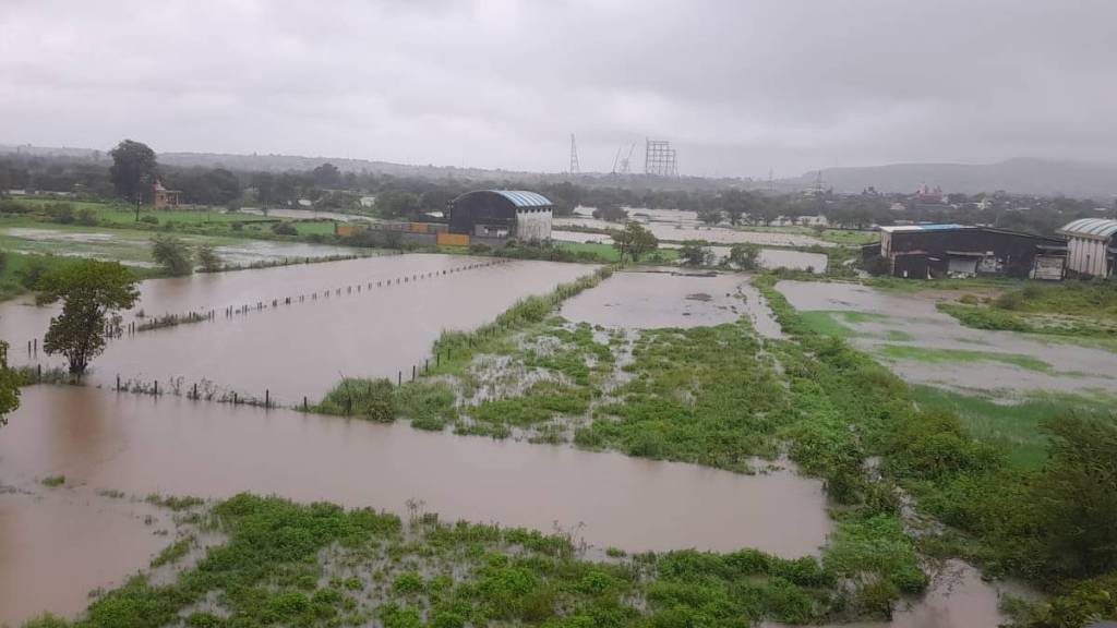 rainfall in western part of Igatpuri taluka paddy fields taken on the form of lakes