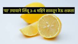 लिंबू कधीच सुकणार नाही! फ्रिजमध्ये अशा प्रकारे ठेवला तर महिनो महिने राहील, लवकर खराब होणार नाही