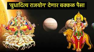 Surya and budh make Budhaditya Rajyog