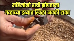VIDEO: महिलांनो रात्री झोपताना गव्हाच्या डब्यात खिळा नक्की टाका; मोठ्या समस्येवर उपाय, परिणाम पाहून डोळ्यांवर विश्वास बसणार नाही