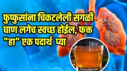 फुप्फुसांना चिकटलेली सगळी घाण लगेच होईल स्वच्छ; कफही नाही होणार, फक्त कोमट पाण्यात ‘हा’ एक पदार्थ मिसळून प्या