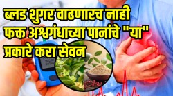 ब्लड शुगर वाढणारच नाही; डायबेटीसचा धोका कायमचा होईल कमी, फक्त अश्वगंधाच्या पानांचे ‘या’ प्रकारे करा सेवन