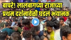 बापरे! लालबागच्या राजाच्या प्रथम दर्शनासाठीच प्रचंड गर्दी; चेंगराचेंगरीत तरुण खाली पडले अन्…धक्कादायक VIDEO झाला व्हायरल