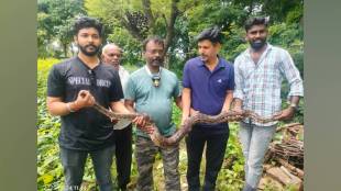 Snake rescuer in Buldhana risked life rescued 12 kg and 6 5 foot python from 70 foot well
