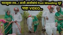 याला म्हणतात खरं प्रेम! आजी-आजोबांचे बैलगाडी अन् शेतामध्ये पोस्ट वेडिंग शूट; VIDEO पाहून नेटकरी म्हणाले, “हे पाहून रडू आलं..”