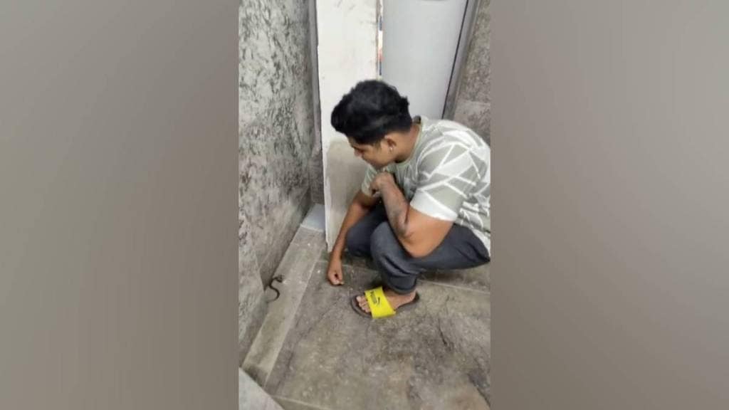 धारावी मेट्रो स्थानकात आढळले नागाचे पिल्लू, सर्पमित्रांकडून जीवदान (छायाचित्र सौजन्य - लोकसत्ता टीम)