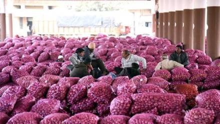 Sri Lanka raised onion import duty domestic demand drops export volatility affects local market