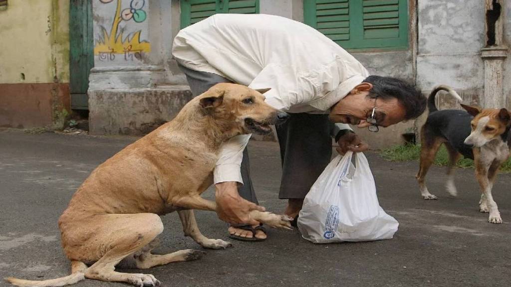 Stray dogs trouble nagpur Police Commissioner issues regulations