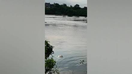 Van River floods Bhairavgad Hanuman Sagar project nears 79 percent capacity in three border district