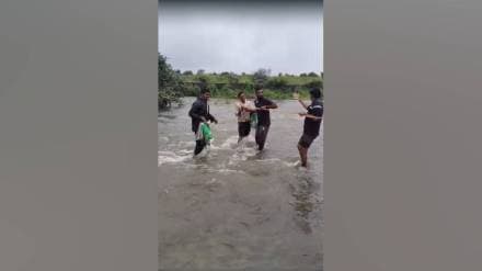 lack of bridge on savitri river forces Chikhali farmers to risk lives crossing riverbed