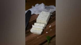 cheese analog Mumbai, paneer adulteration news, harmful paneer raid, Mumbai food safety, dairy product fraud, edible cheese analog,