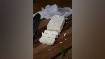 cheese analog Mumbai, paneer adulteration news, harmful paneer raid, Mumbai food safety, dairy product fraud, edible cheese analog,