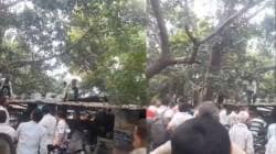 माकडाने चक्क ८० हजार रुपयांनी भरलेली बॅग हिसकावली अन् झाडावरून केला पैशांचा वर्षाव; व्हिडीओ तुफान व्हायरल