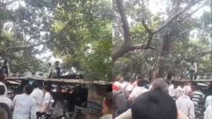 Monkey Throwing Notes from Tree :