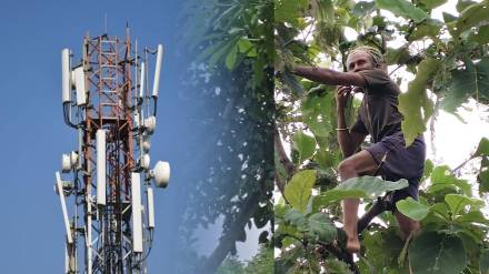 Maharashtrian villagers Mobile network