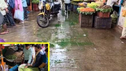 Thane vegetable market, colour vegetable thane, fresh vegetable fraud, Jambhalinaka vegetable market, green colour on vegetables,