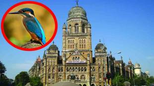 Mumbai bird park, Mulund bird park project, rare birds in Mumbai, Mumbai ecological parks, bird sanctuary Maharashtra, Mulund bird garden tender,