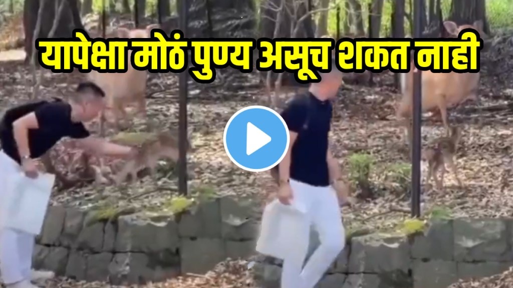 Emotional video Man Reunites Baby Deer With Its Mother Amazing Video Goes Viral On Social Media
