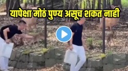 VIDEO: यापेक्षा मोठं पुण्य असूच शकत नाही! जंगलात हरवलेल्या हरणाच्या पिल्लाची अन् आईची तरुणानं भेट करून दिली; पाहताच आईनं काय केलं पाहा