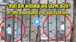 जेव्हा प्रेम भयानक रूप धारण करतं! ‘ती’ जीव वाचवण्यासाठी हाता-पाया पडली पण त्याला काहीच फरक पडला नाही; VIDEO पाहून धक्का बसेल