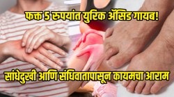 फक्त ५ रुपयांत युरिक अ‍ॅसिड गायब! आठवड्यातून एकदा करा ‘या’ चटणीचं सेवन; सांधेदुखी आणि संधिवातापासून कायमचा आराम