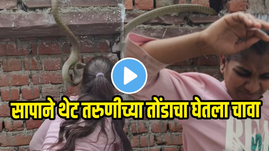 Snake attack on girls face while she is catching snake from house shocking video