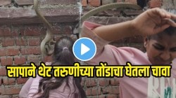 बापरे! विषारी सापाने हवेत उडी घेत थेट तरुणीच्या तोंडाचा घेतला चावा; भयंकर हल्ल्याचा थरारक VIDEO व्हायरल