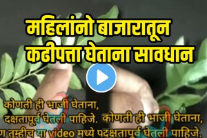 Viral video unhealthy vegetables Curry Leaves found worm shocking video goes viral on social Media