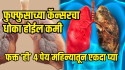 फुफ्फुसाच्या कॅन्सरचा धोका होईल कमी, फक्त ‘ही’ ४ पेय महिन्यातून एकदा प्या; डॉक्टरांनी सांगितला आश्चर्यकारक परिणाम