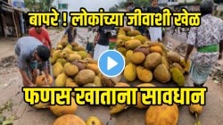 बापरे लोकांच्या जीवाशी खेळ! फणस विक्रेत्यानं काय केलं पाहा; VIDEO पाहून यापुढे फणस खाताना शंभर वेळा विचार कराल