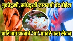 गुडघेदुखी, सांधेदुखी कायमची बंद होईल; फक्त पारिजात पानांचे ‘या’ प्रकारे करा सेवन, आश्चर्यकारक फायदे पाहून थक्क व्हाल