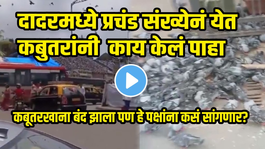 Mumbai Kabutarkhana Controversy video Hundreds Of Pigeons Still Flock To Dadar After Kabutarkhana Closure Video goes Viral