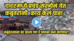 VIDEO: कबूतरखाना बंद झाला पण हे पक्षांना कसं सांगणार? दादरमध्ये कबूतर खान्याजवळ प्रचंड संख्येनं येत कबुतरांनी काय केलं पाहा