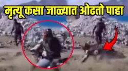 मित्र सांगत होते नको पण तो ऐकलाच नाही…पूराच्या पाण्यात बाईक घातली अन् क्षणात काय घडलं पाहा, धक्कादायक VIDEO व्हायरल