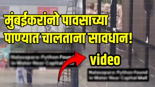 Mumbai rain Python Found in Water Near Capital Mall Nalasopara Mumbai Video goes Viral