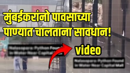 Mumbai rain Python Found in Water Near Capital Mall Nalasopara Mumbai Video goes Viral