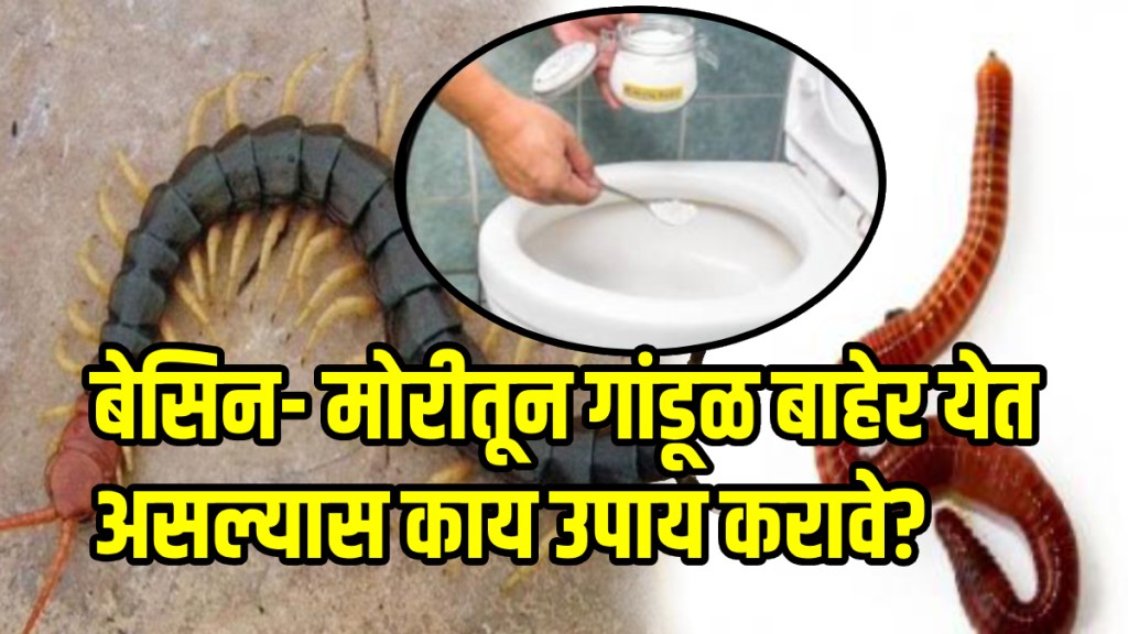 How do you get rid of earthworms in a bathroom in Mansoon ?