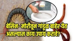 पावसाळ्यात बेसिन- मोरीतून गांडूळ बाहेर येतायत? अगदी स्वस्तात करा ‘हे’ उपाय, बाथरुमध्ये गोम, गांडूळ फिरकणारही नाही