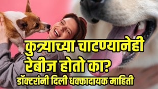 Rabies due to dog licking dog bite side effects symptoms and prevention of rabies