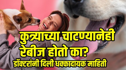 Rabies due to dog licking dog bite side effects symptoms and prevention of rabies