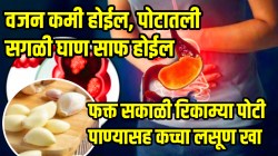 वजन कमी होईल, पोटातली सगळी घाण साफ होईल; फक्त सकाळी रिकाम्या पोटी पाण्यासह कच्चा लसूण खा, चमत्कारिक परिणाम वाचून लगेच सुरु कराल