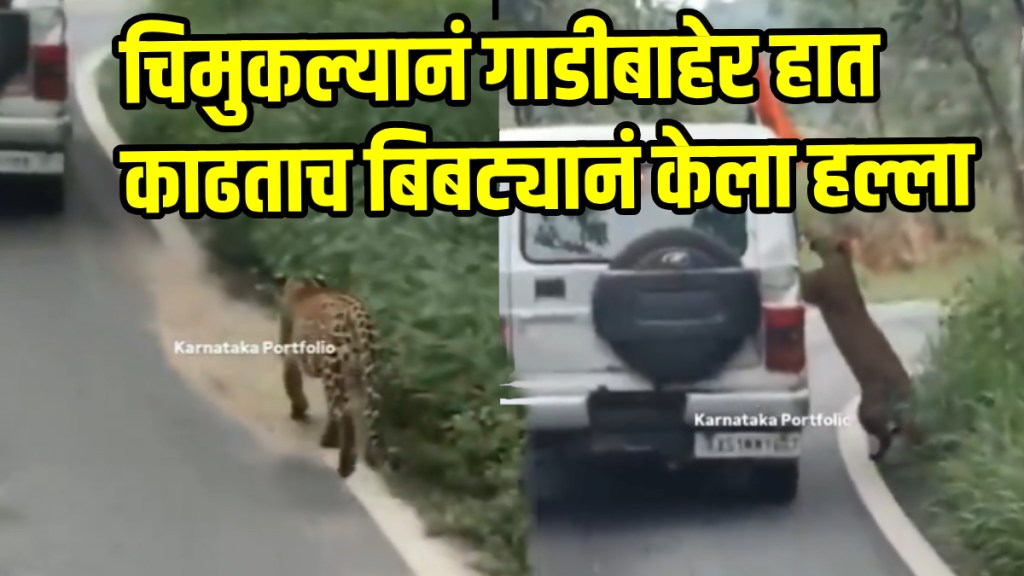 Terrifying Video: Leopard Attacks 13-Year-Old Boy During Safari At Bengaluru's Bannerghatta Biological